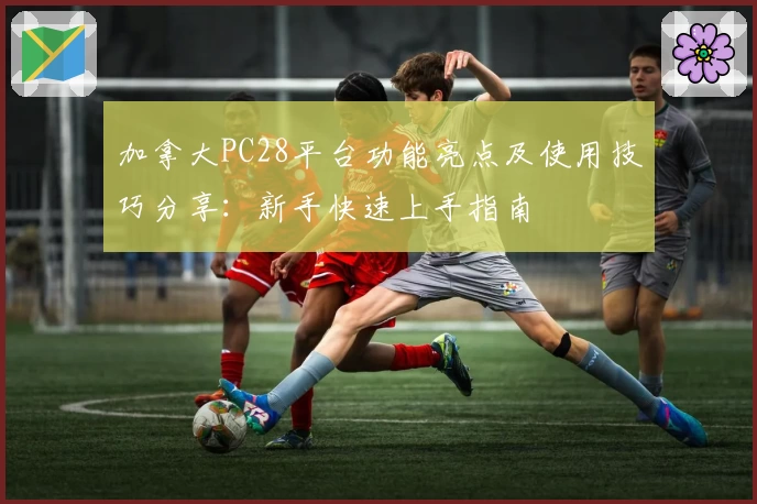 加拿大PC28平台功能亮点及使用技巧分享：新手快速上手指南