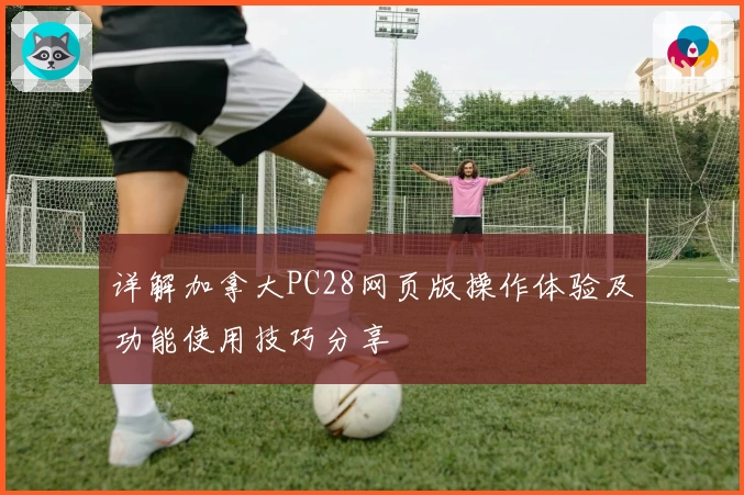 详解加拿大PC28网页版操作体验及功能使用技巧分享
