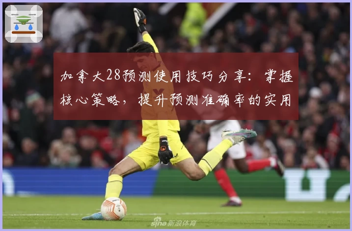 加拿大28预测使用技巧分享：掌握核心策略，提升预测准确率的实用指南