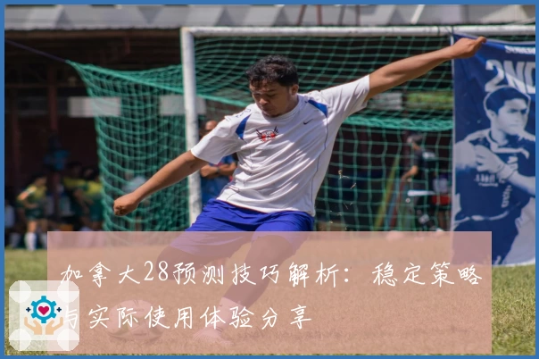 加拿大28预测技巧解析:稳定策略与实际使用体验分享
