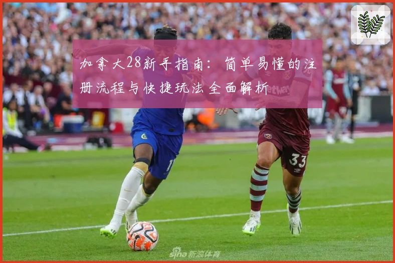 加拿大28新手指南：简单易懂的注册流程与快捷玩法全面解析
